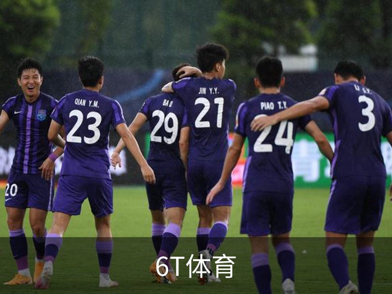 了解6T体育